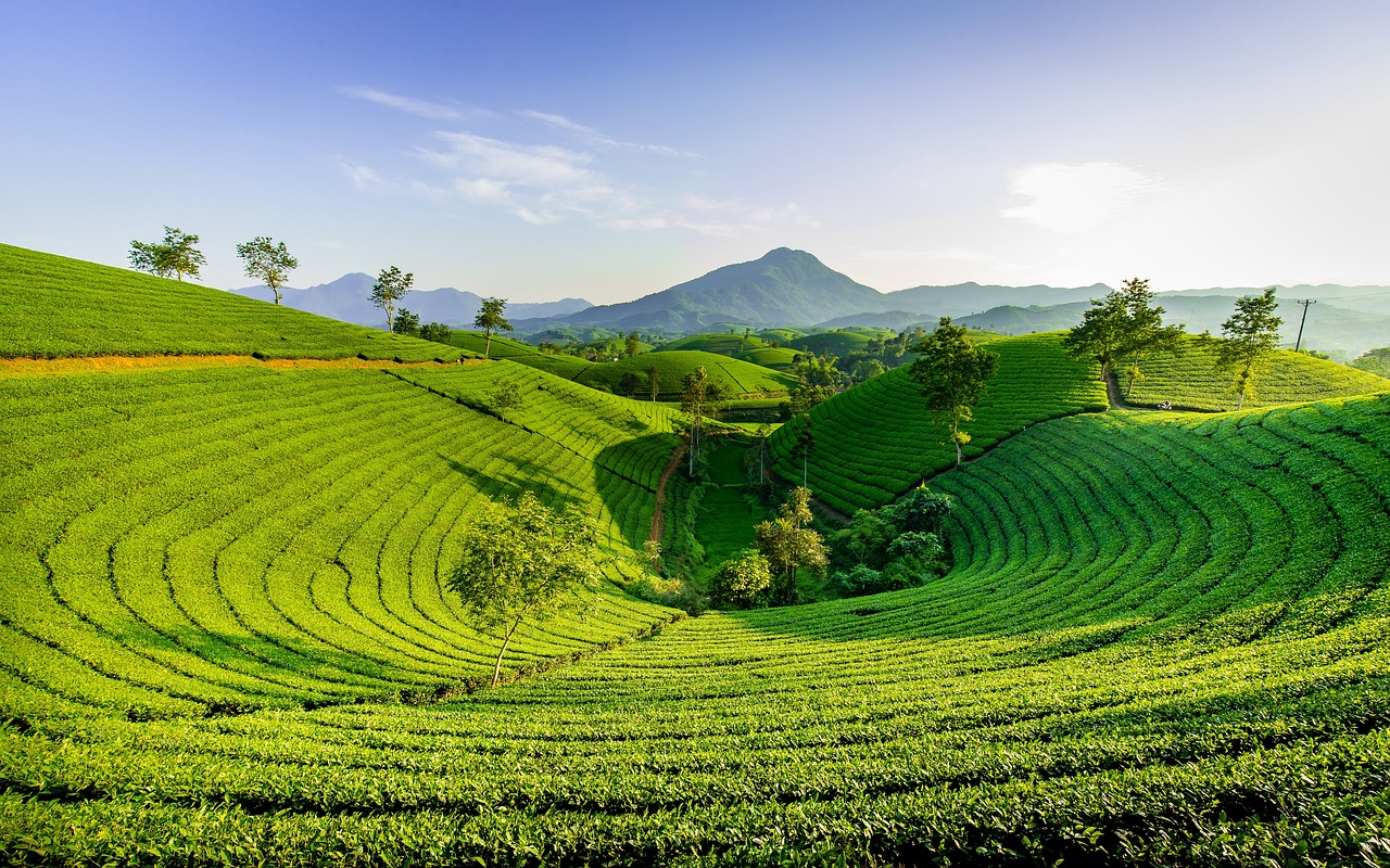 Asia